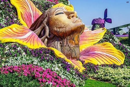 Dubai’s Enchanting Tour: Miracle Garden, Butterfly Garden & Global Village