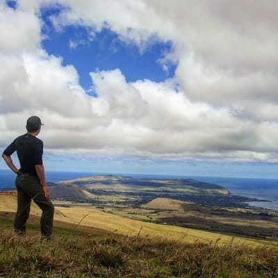 Island's highest volcano: Half Day Private Trekking