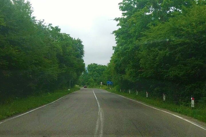 Telavi Tour from Tbilisi with Tsinandali, Gombori, Alaverdi and Ikalto