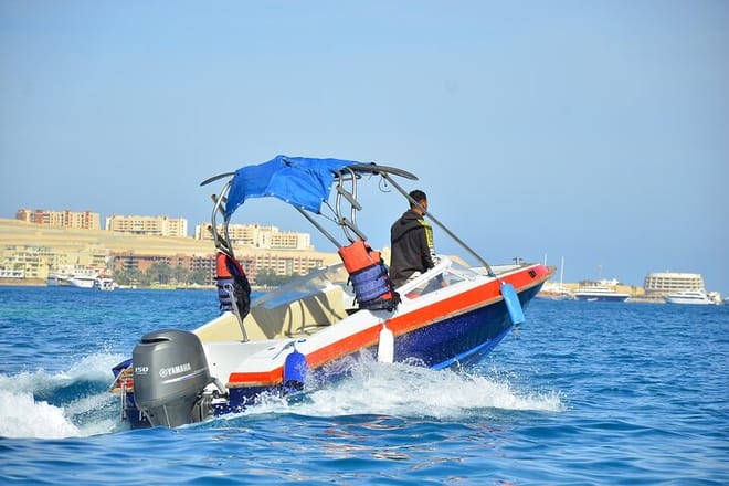 Swim With Dolphin By small-group Speedboat &amp; Transfer - Hurghada