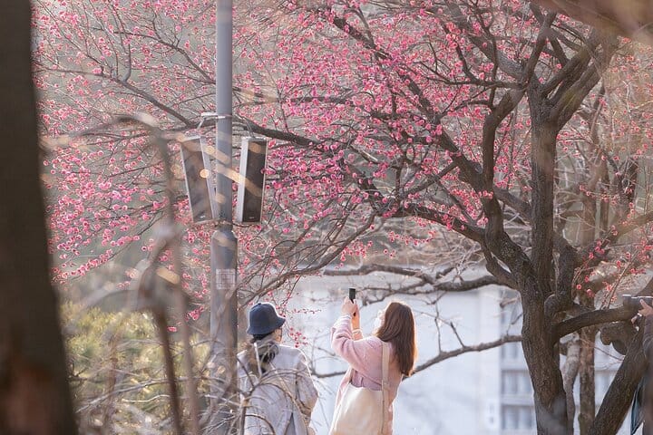 korea Seoul travel guide