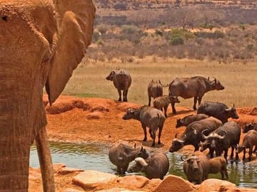 Private 3-Day Safari Experience in Amboseli National Park
