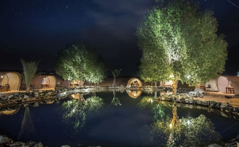 Desert Safari with BBQ Dinner at Platinum Heritage Camp, Dubai