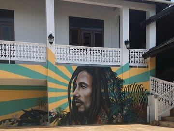 Bob Marley Mausoleum and Luminous Lagoon Tour in Jamaica