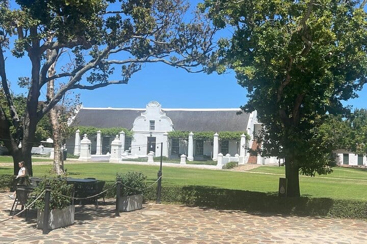 Giraffe Encounter and Lion Park with Wine Tasting in Stellenbosch