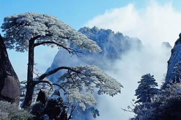Private Huangshan Sunrise Photography Tour