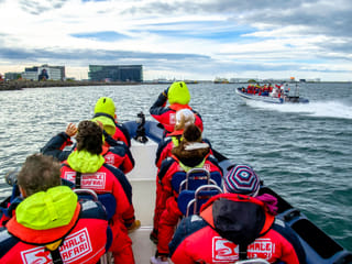 Premium Puffin Tour, photo 9