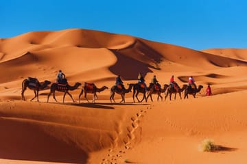 3-Day Camel Trekking Adventure in Merzouga from Marrakech
