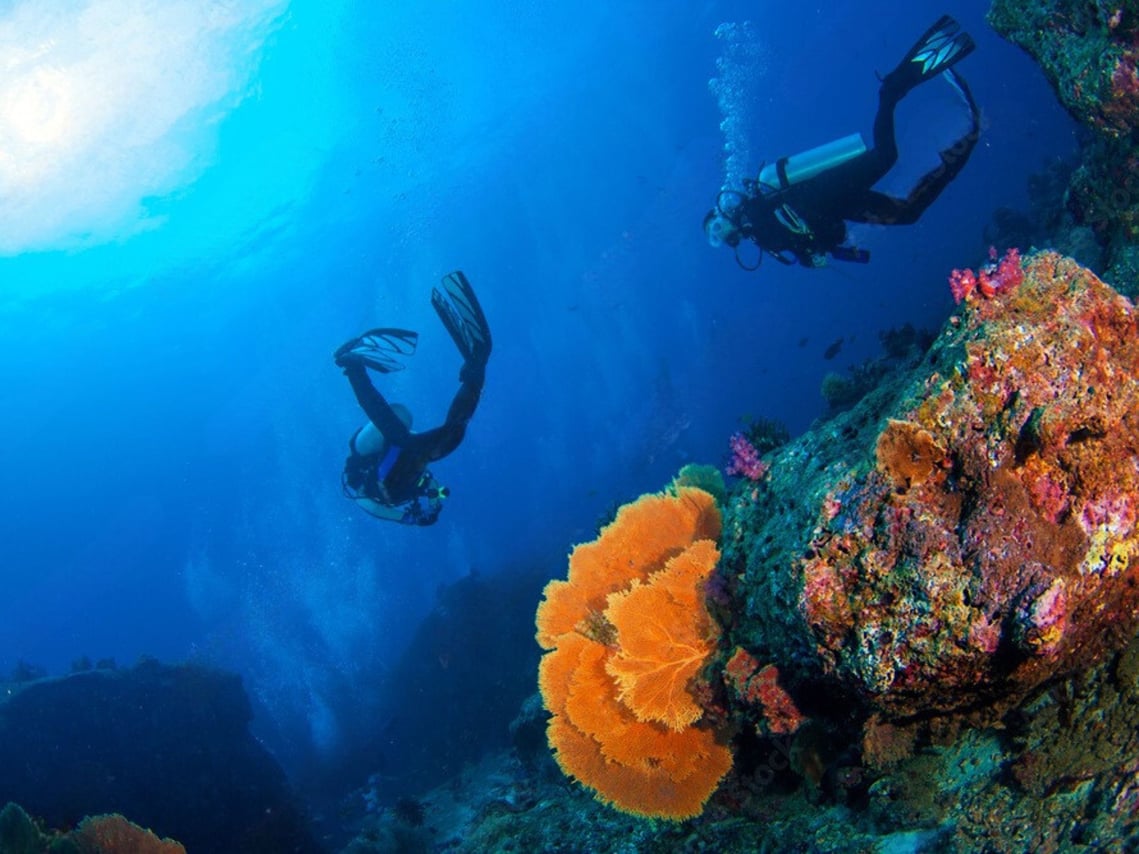 Phuket: Racha Island and Coral Islands + Scuba Beach Dive 7