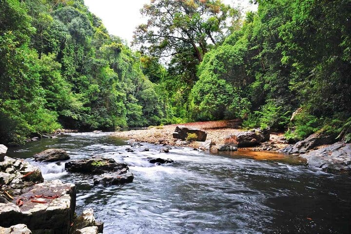 Tembeling River dan Lanskap Hutan Hujan