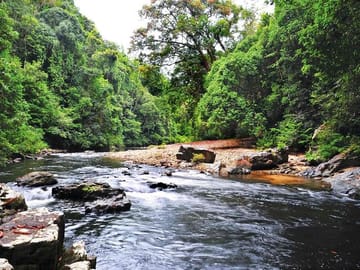 Tembeling River dan Lanskap Hutan Hujan