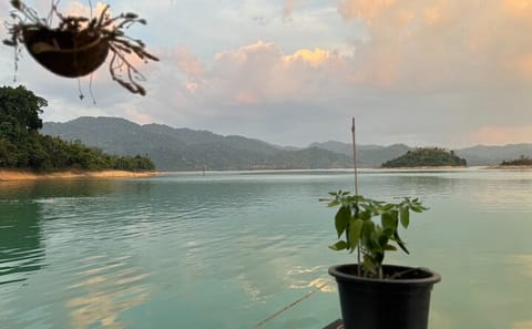 Samet Nangshe and Cheow Lan Lake Day Tour from Ao Luek