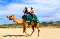 Cabo Camel Ride Experience 4