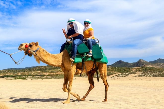 Cabo Camel Ride Experience 4