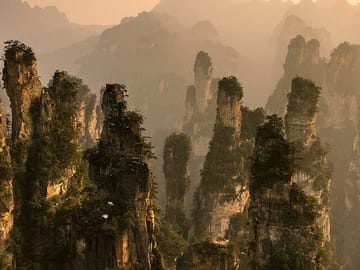 Full-Day Zhangjiajie National Forest Park Tour