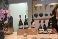 Wine tour & tasting - Prosecco Experience 8