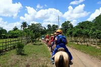Punta Cana: Full Day Adventure Tour (Combo) 10