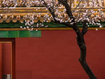 3-4 hours Private Tour to Forbidden City with Entry Tickets