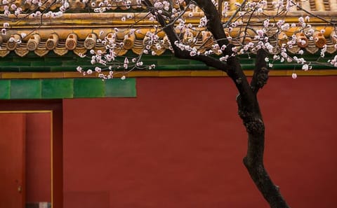 Private 3-4 Hour Tour of the Forbidden City in Beijing