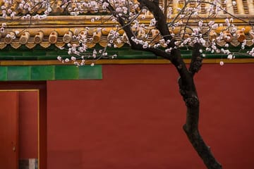 Private 3-4 Hour Tour of the Forbidden City in Beijing