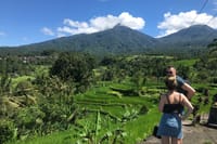 Bali rice terraces