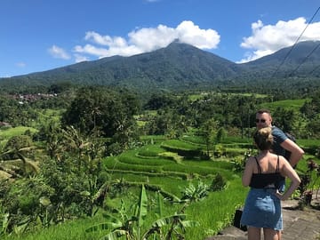 Bali rice terraces