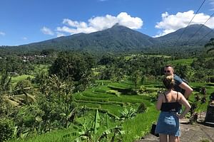 Private Tour: Bali Temple and Countryside Tour