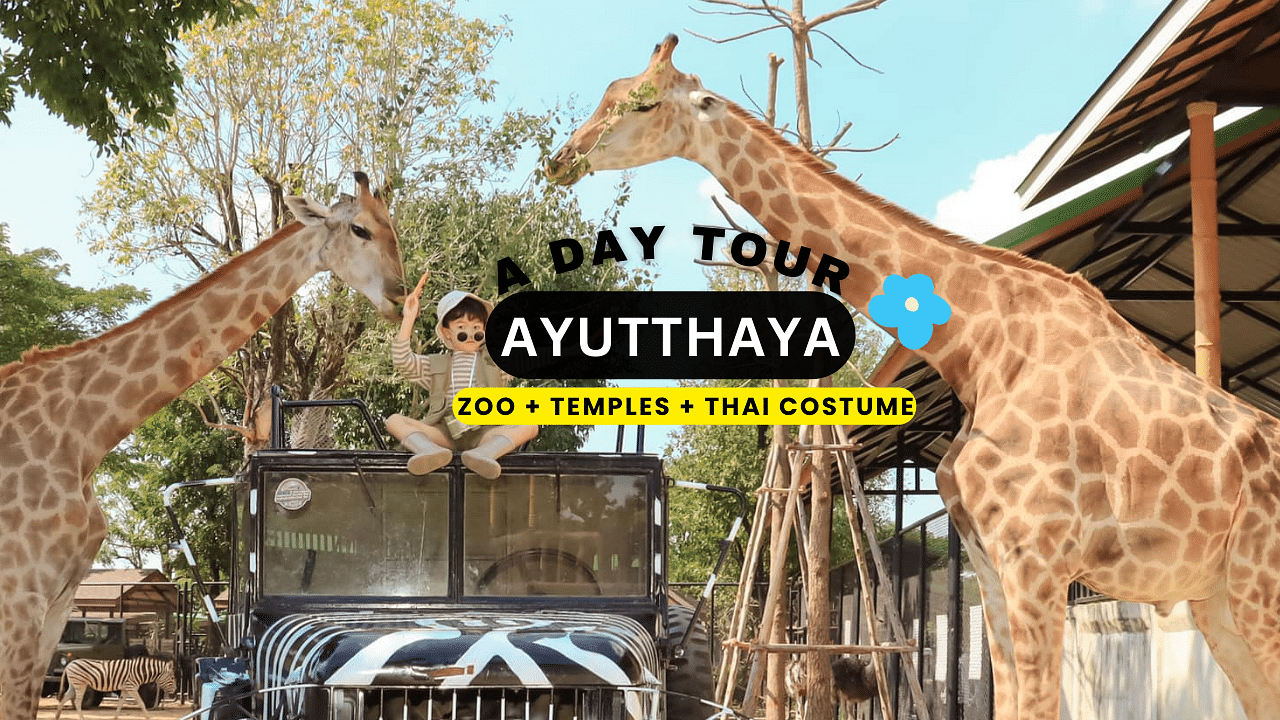 New Zoo in Ayuthaya & Must-See Temples & Thai Costume