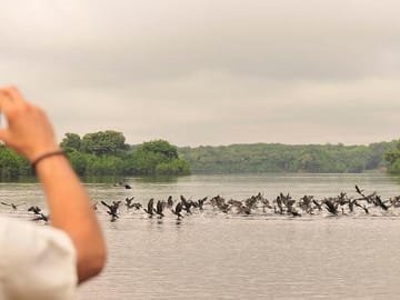 3-Day Manaus Amazon Jungle Adventure