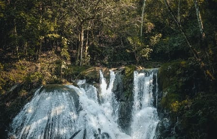 Adventure Tour to San Miguel Waterfall in Tingo María, Peru