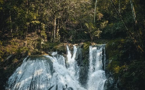Adventure Tour to San Miguel Waterfall in Tingo María, Peru