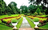 01 Week Tour In Sri Lanka 6