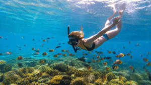 Blue Lagoon Snorkeling with Private Boat, Guide and Transfer
