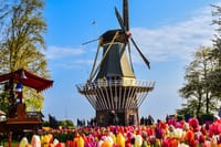 The famous windmill of the Keukenhof park