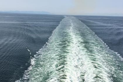 Explore Olympic National Park from Seattle through Van /Ferry