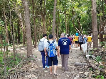 4-Hour Amazon Rainforest Trekking Tour from Manaus