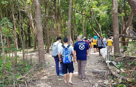 4-Hour Amazon Rainforest Trekking Tour from Manaus