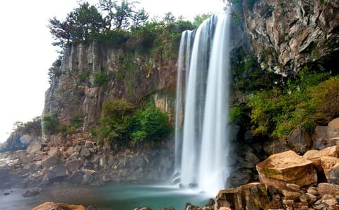 Private Jeju Island Highlights Tour for Cruise Passengers