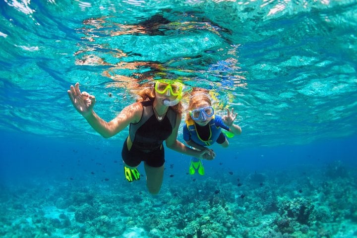 Cozumel: El Cielo & Palancar Snorkeling Tour on Glass-Bottom Boat 4