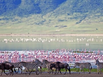 Ngorongoro crater