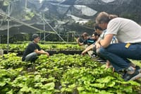 Mt. Fuji Private Day Tour: Wasabi Farm, Nature & Scenic Views  2
