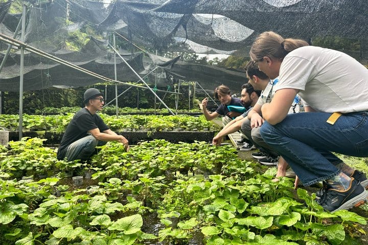 Mt. Fuji Private Day Tour: Wasabi Farm, Nature & Scenic Views  2