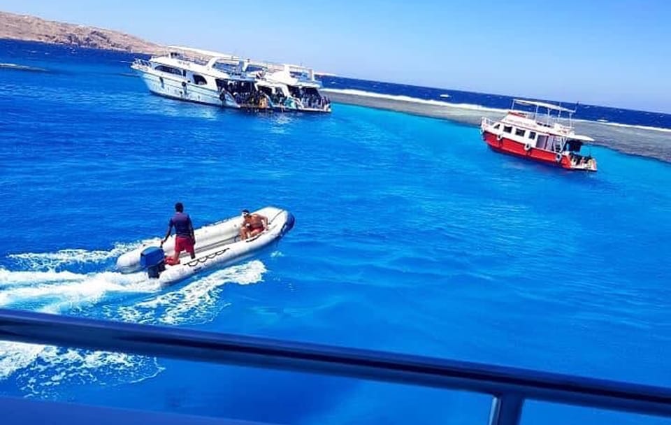Snorkeling Tour with Dolphins in Hurghada, Egypt
