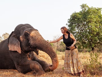 Elephant Nature Park (Half Day)