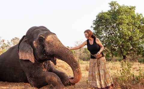 Elephant Nature Park (Half Day)