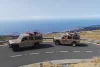 Arieiro Peak & Nun´s Valley in Open Roof 4x4 Tour + Dolphins Watching 10