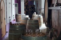 Small Group Wine, Bread & Cheese Experience with Farmhouse Lunch 3