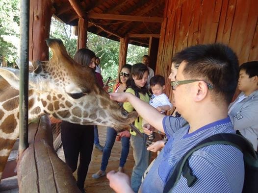 Day Tour: Giraffe Center and David Sheldrick Elephant Orphanage from Nairobi 4