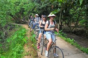 Mekong Rural Life 3-Day Tour with Homestay