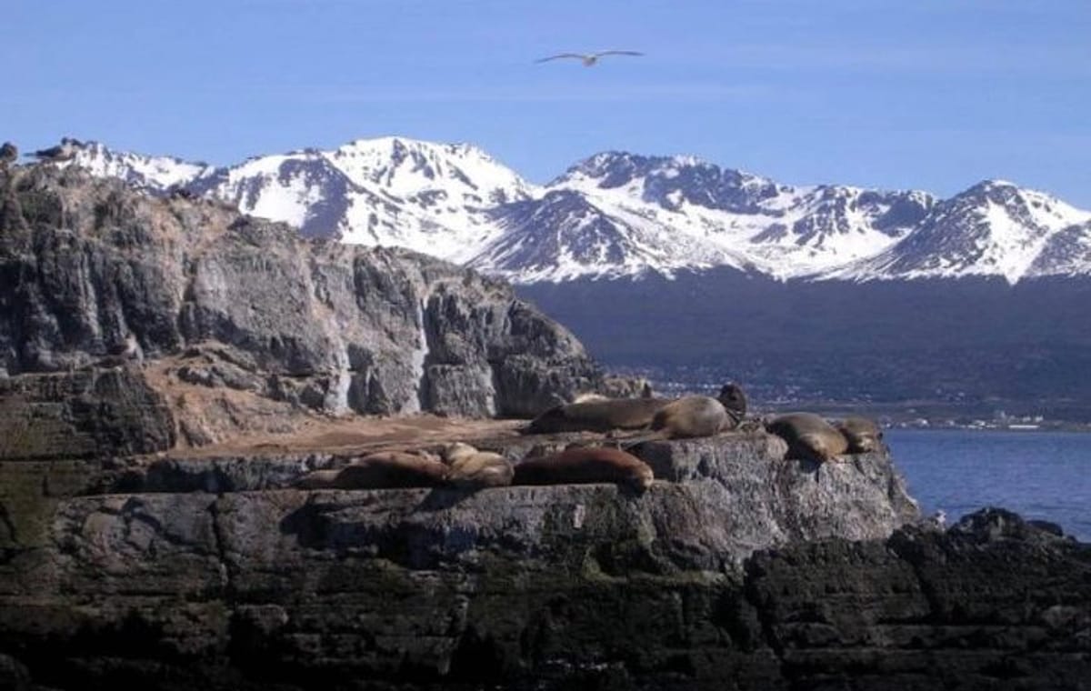 Beagle Channel Yacht Sailing Tour from Ushuaia
